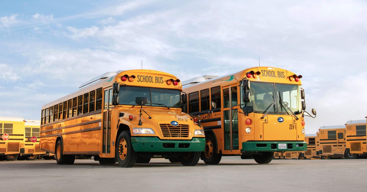 Blue_Bird_EV_yellow_school_buses.jpg