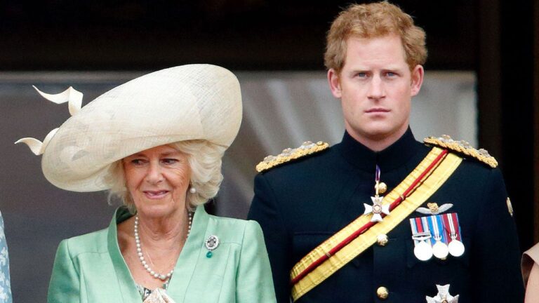 Camilla_Prince_Harry.jpg