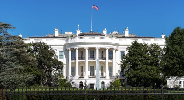 Nazi-Flag-Man-Arrested-Crashing-Barriers-White-House-scaled.jpg