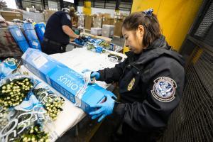 cbpas_inspecting_flowers_dulles_va_01-20-2023_2.jpg