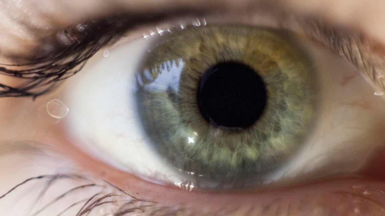 human-eye-green.jpg