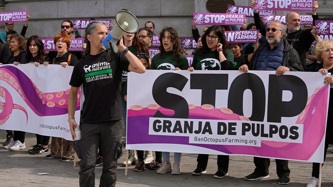 protest-spain.jpg