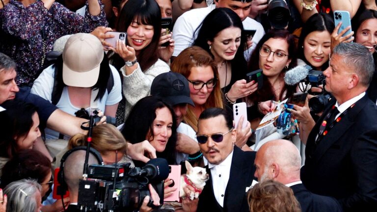 skynews-johnny-depp-cannes_6157815.jpg