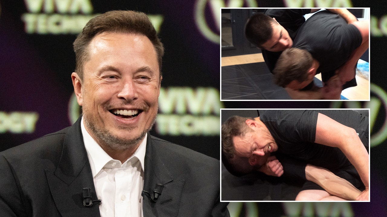 Musk-grappling-session.jpg