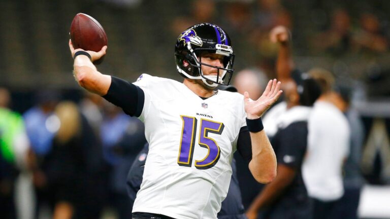 skynews-ryan-mallett-nfl-baltimore_6201475.jpg