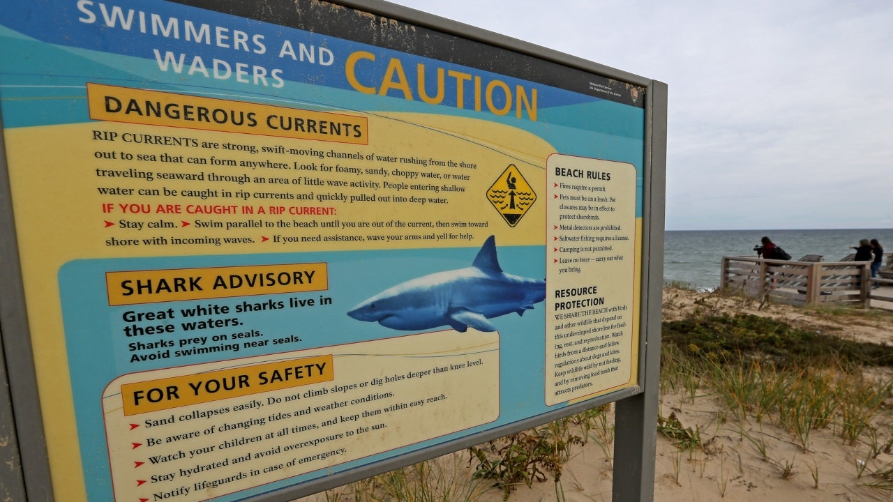 Shark-signage.jpg