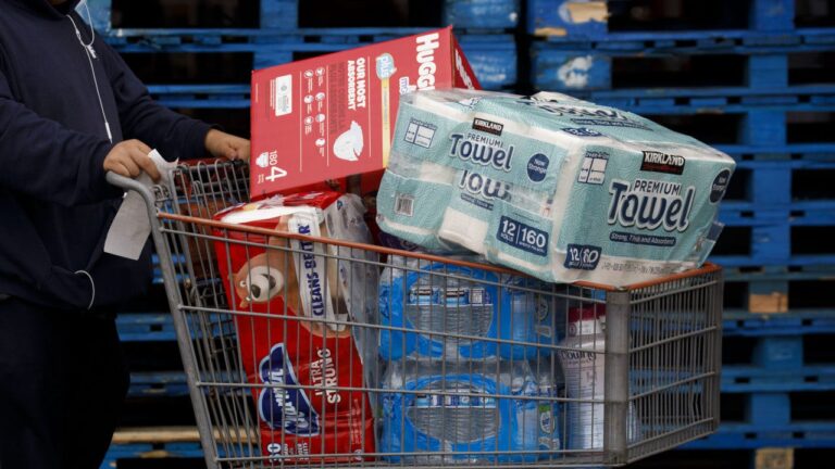 a-costco-shopper-cart.jpg