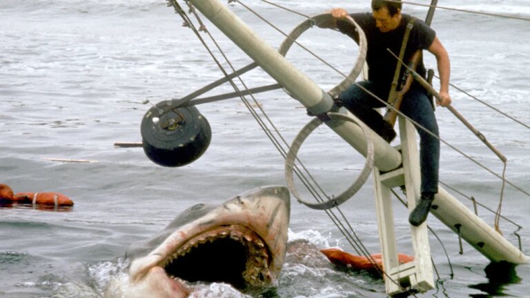 jaws-set.jpg