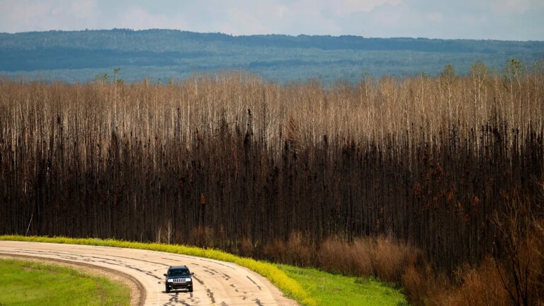 Canada-fires.jpg