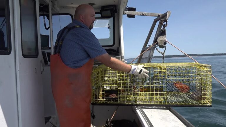 Lobsterman-dropping-cage-off-boat.jpg