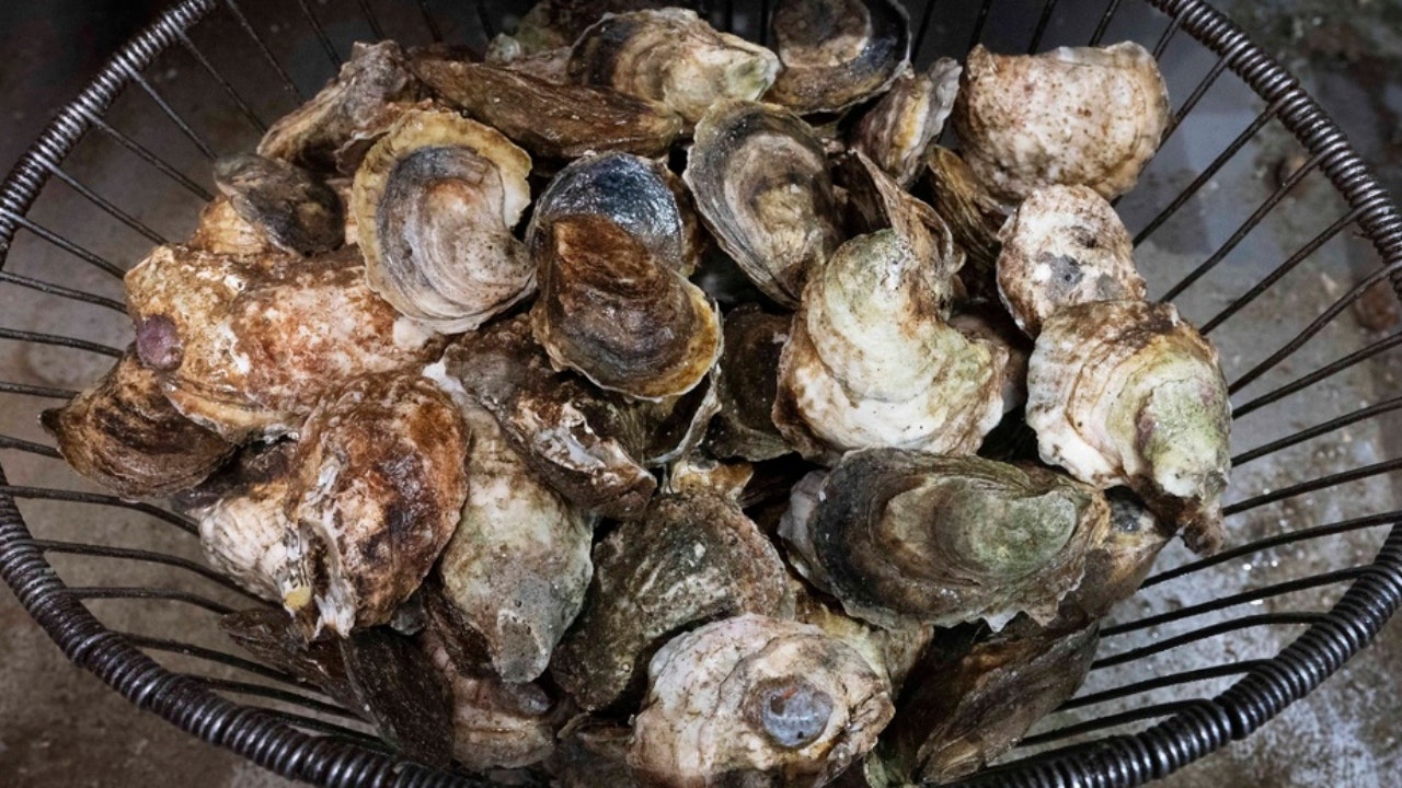 Oysters.jpg