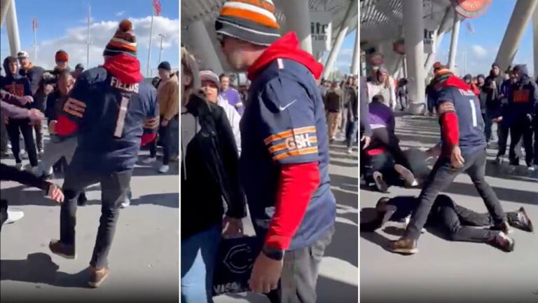 Bears-fan-fight.jpg