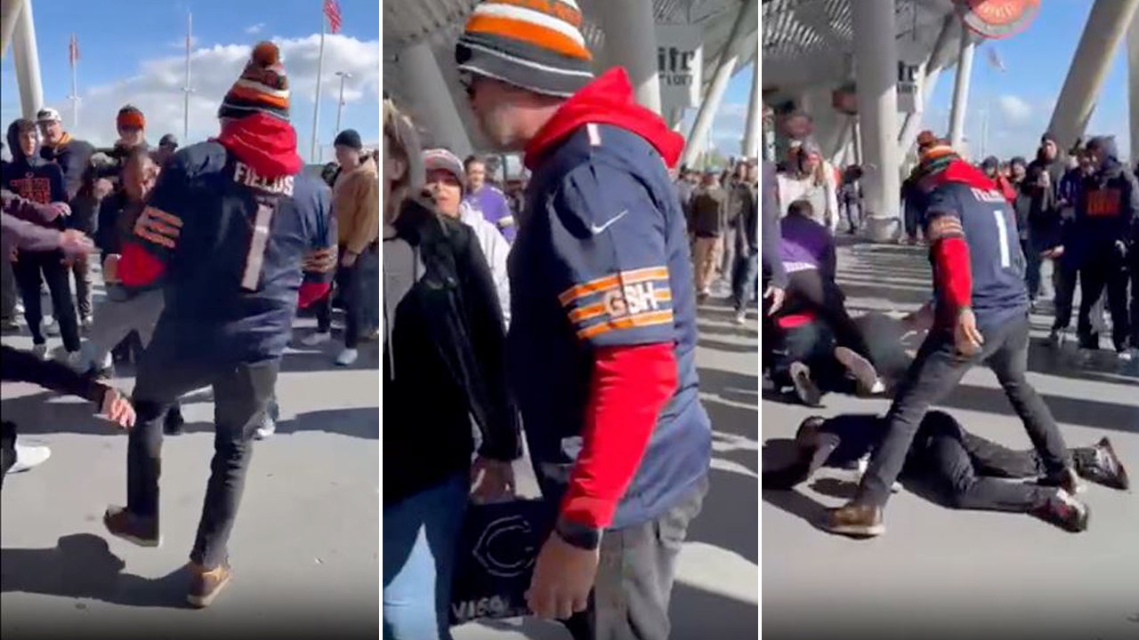 Bears-fan-fight.jpg