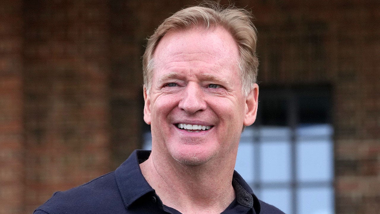 Roger-Goodell4.jpg