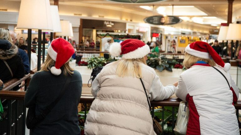 6efe6cf4-holiday-shopping.jpg