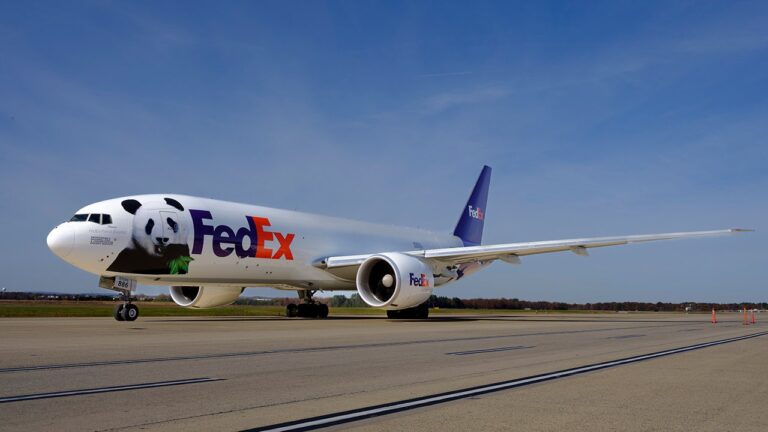 fedex-panda-plane-wide.jpg