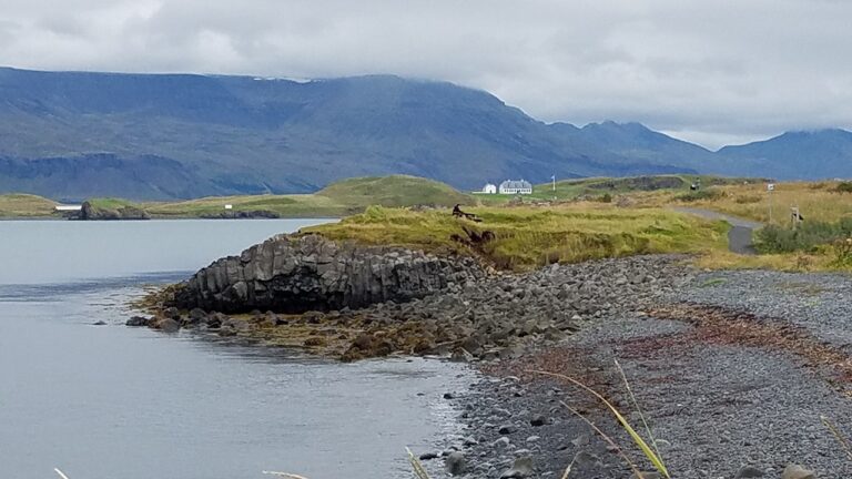 fox-Image-3-iceland-bay-and-white-house.jpg