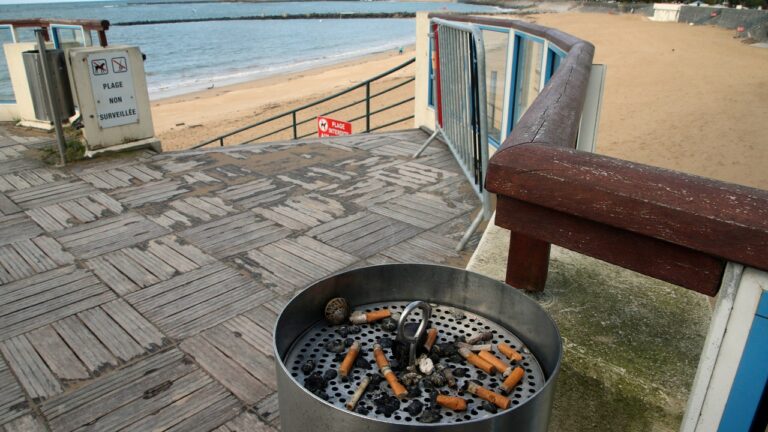 french_beach_ashtray.jpg