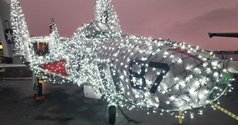 jingle-jetsf-9-cougar.jpg