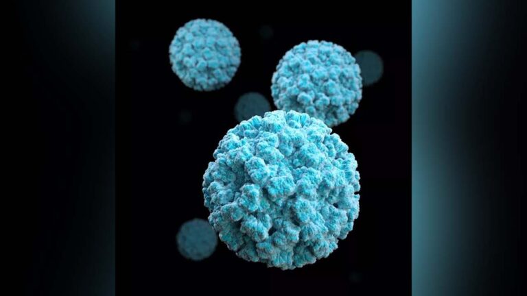 norovirus1CDC.jpg