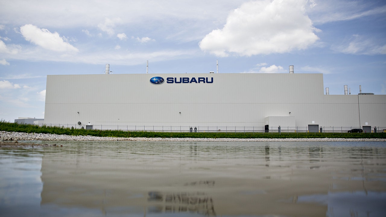 subaru-plant-crop.jpg