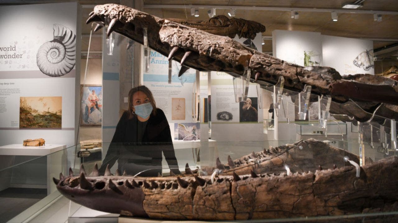 Collection-Assistant-Kat-Broomfield-poses-with-the-fossil-skull-of-a-Pliosaur-on-May-19-2021-at-Dorchester-England.jpg