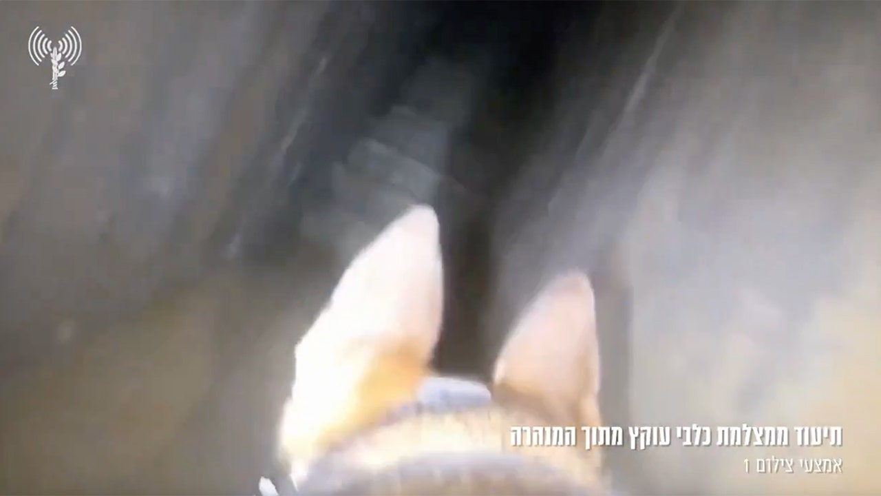 IDF-Canine-Tunnels.jpg