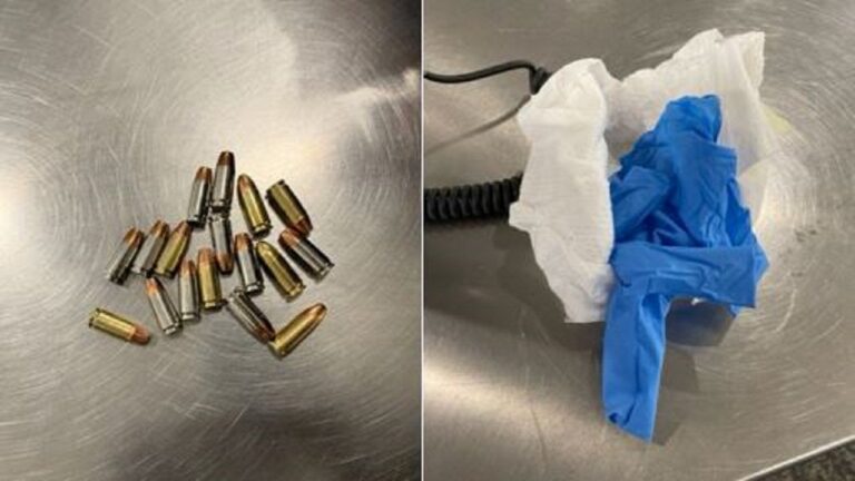 TSA-Bullets.jpg