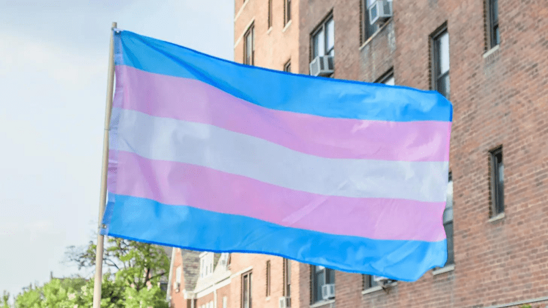 Trans-flag-North-Carolina-e1700519967227.png