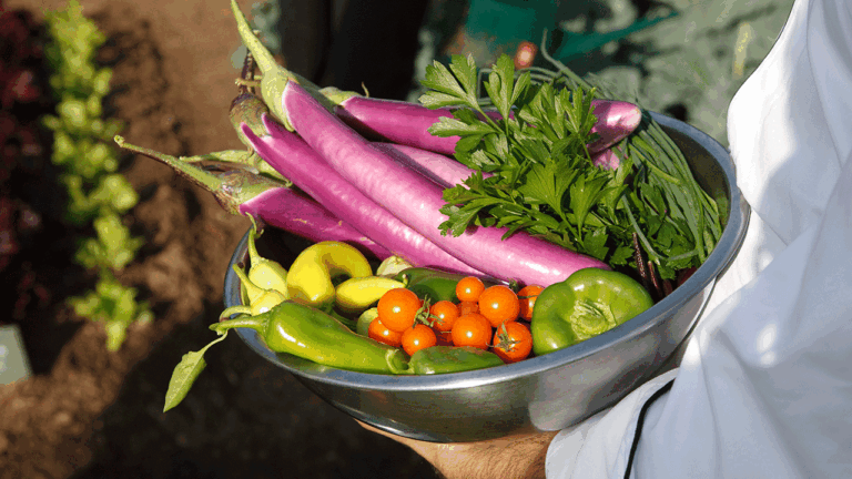 bowl-vegetables.gif