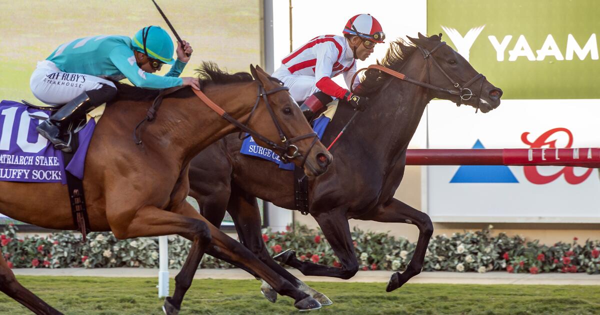 del-mar-horse-racing-80552.jpg