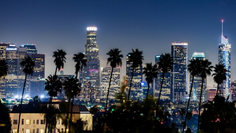 Los-Angeles-skyline-night.jpg