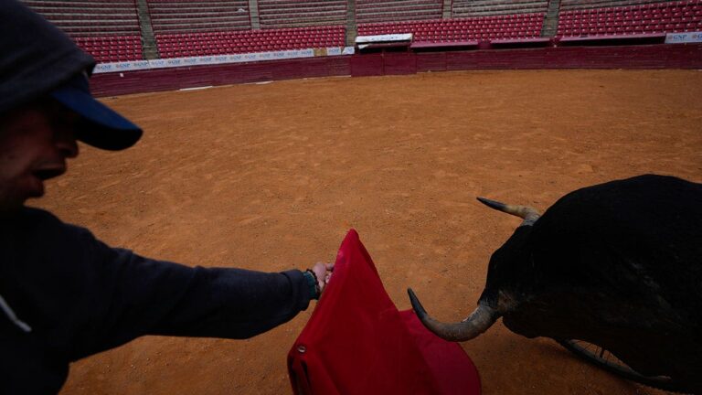 Mexico-Bullfight.jpg