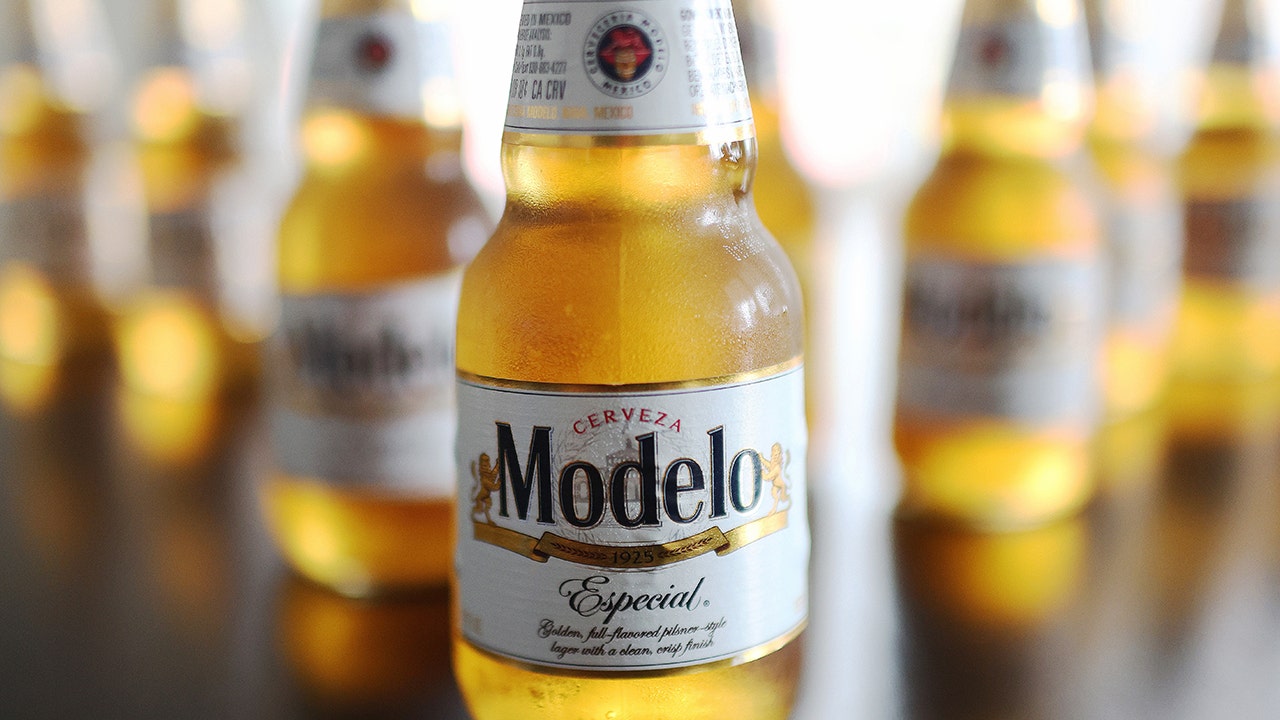 Modelo.jpg