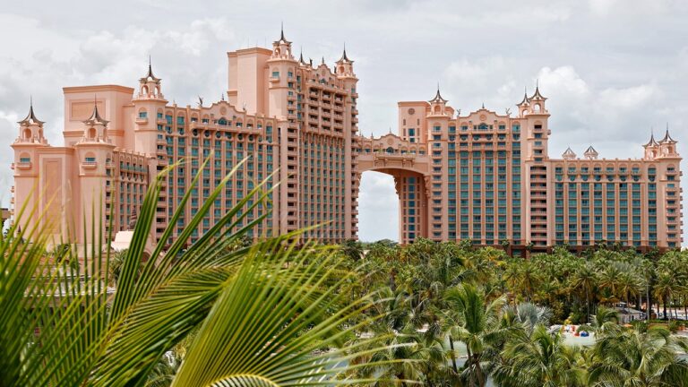 atlantis-resort-palm-trees.jpg