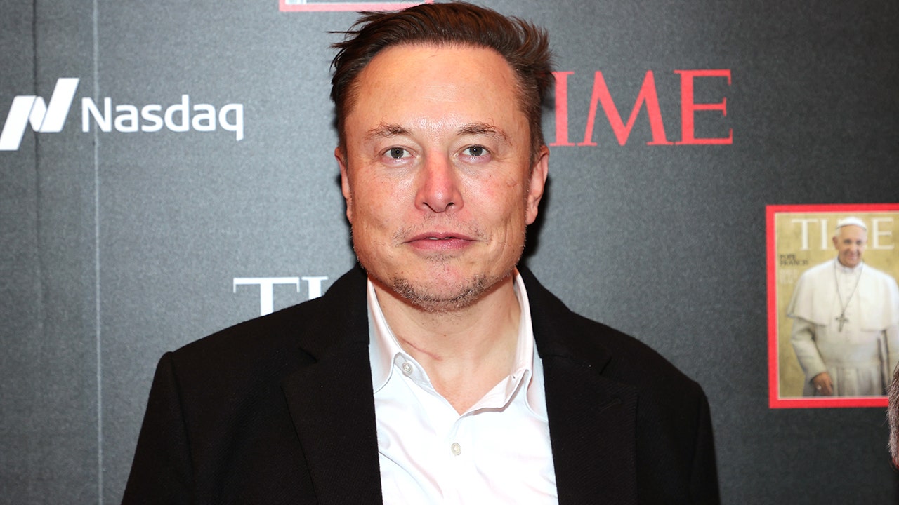 elonmuskpic.jpg