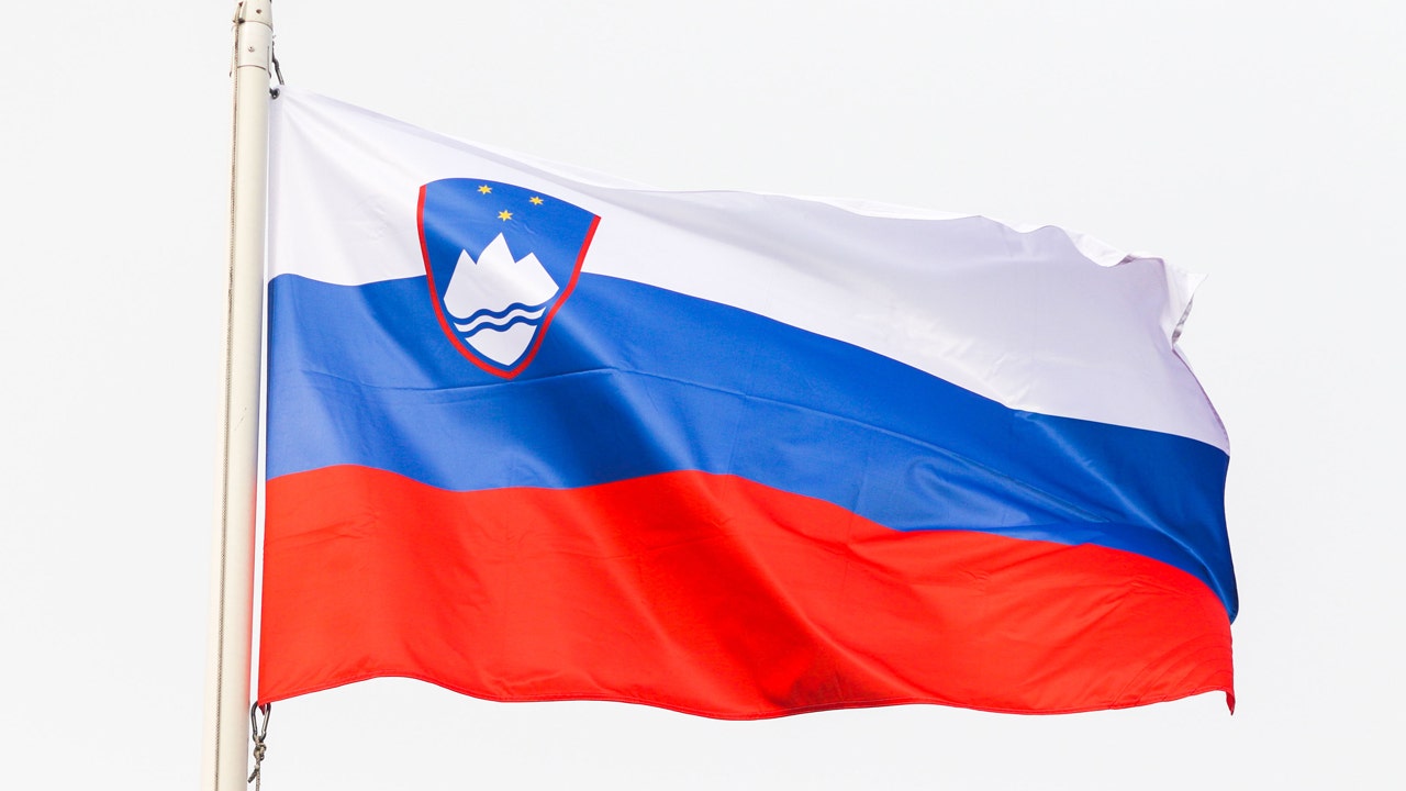 slovenia_flag.jpg