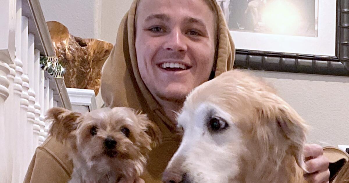 hayden-cropped-dogs.jpg