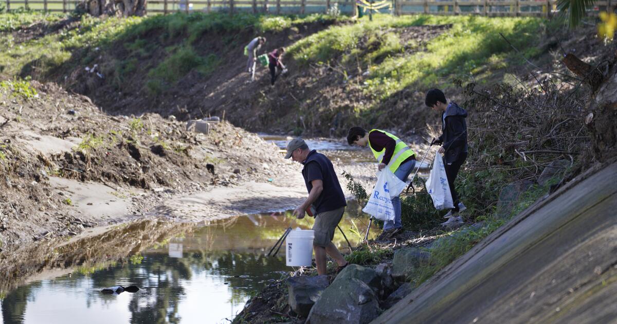 sut-l-1409365-flood-cleanup-nel-005.jpg