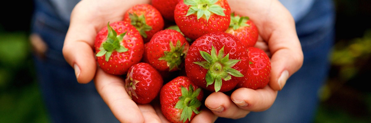 18c67637-strawberries.jpg