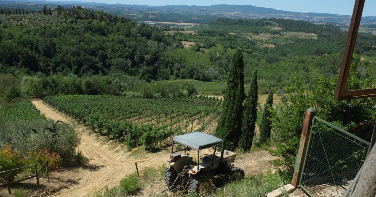 Top 30 books that have inspired holidays – ‘Under The Tuscan Sun’ tops list | Books | Entertainment