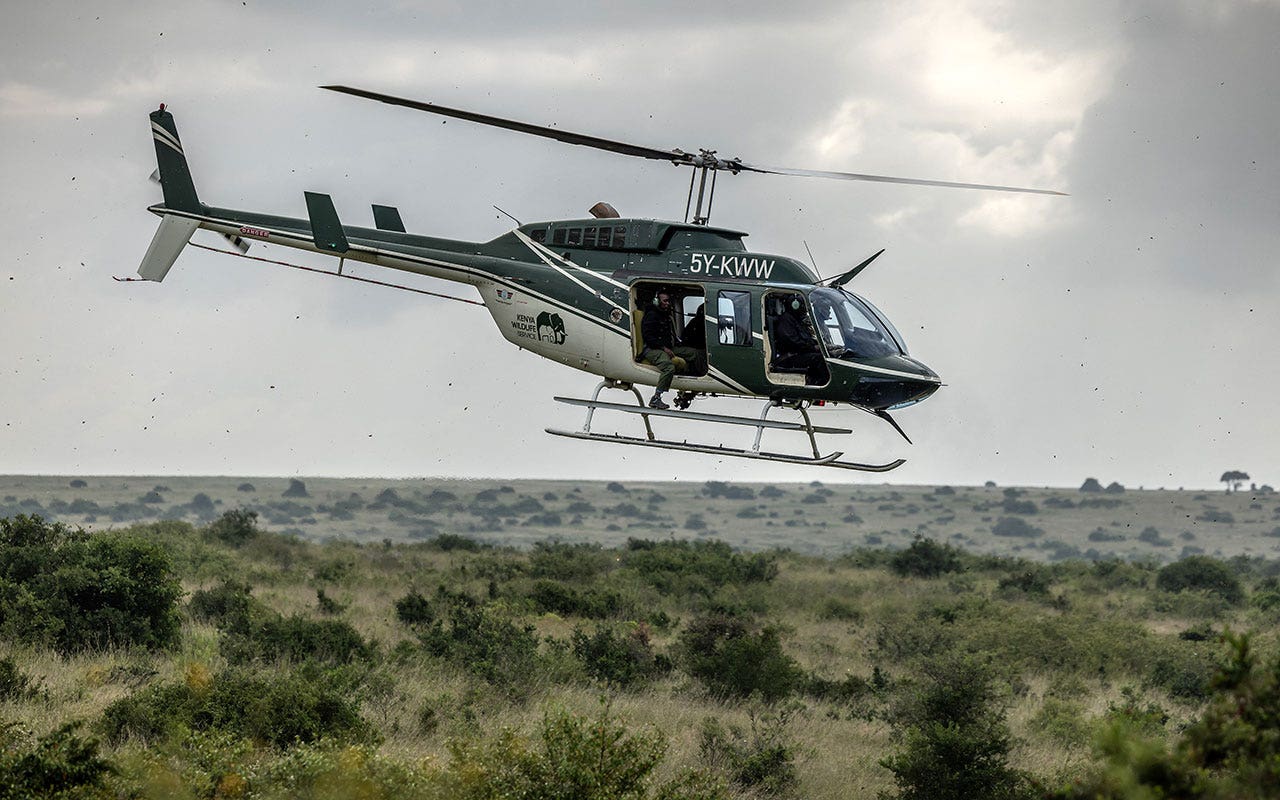 Nairobi-National-Park.jpg