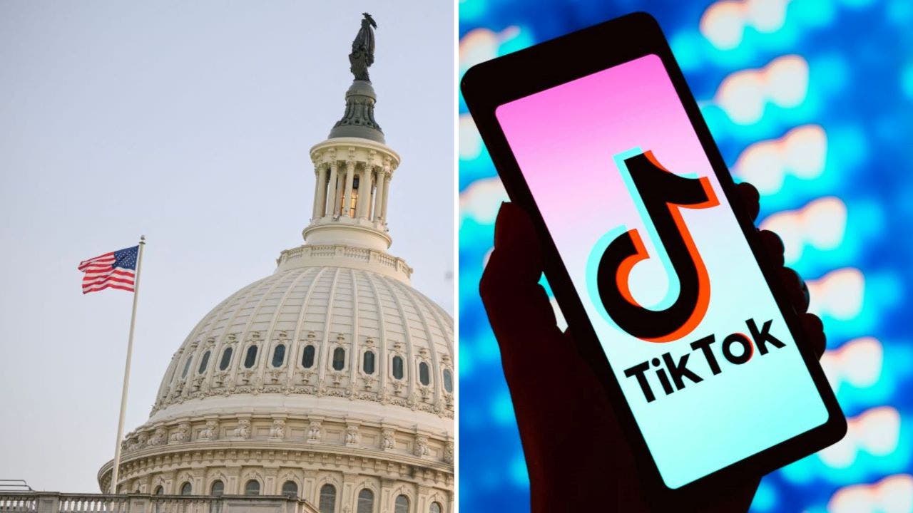 TikTok-Congress.jpg