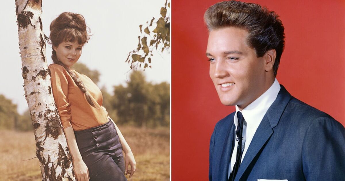 Elvis had male cousin wear balloon breasts to double in movie for leading lady | Films | Entertainment