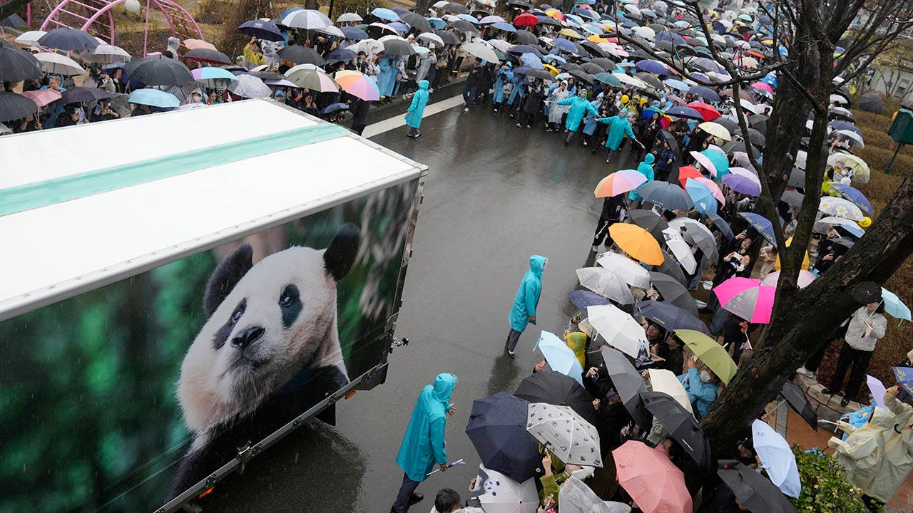 South-Korea-panda.jpg