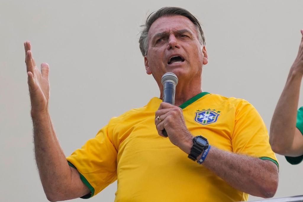 Brazil_Coup_Plot_26512_b7fd99.jpg