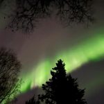 Northern_Lights_36734.jpg