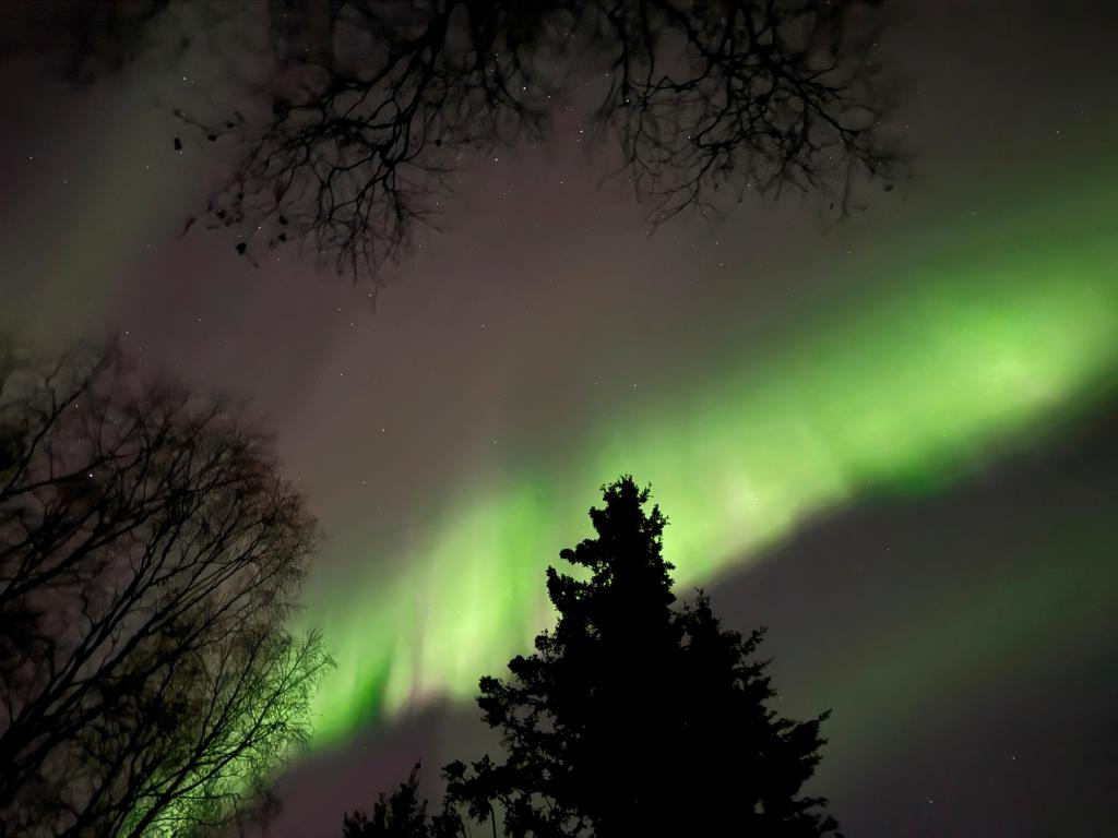 Northern_Lights_36734.jpg