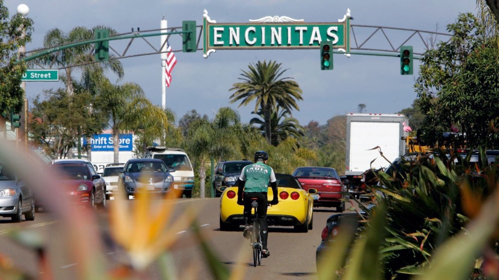 SUT-L-Encinitas-Sign-2.jpg