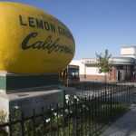 SUT-L-Lemon-Grove-1.jpg